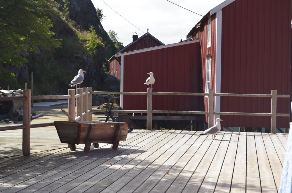 Lofoten Cabins - Sund Sund  Eksteriør billede